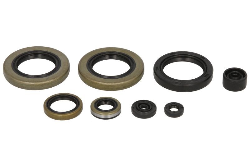 WINDEROSA Set semeringuri, arbore cotit număr articol: 822104 ieftin