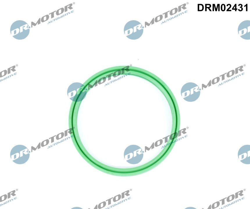 DR.MOTOR AUTOMOTIVE Seal, turbo air hose Article number: DRM02431 cheaply