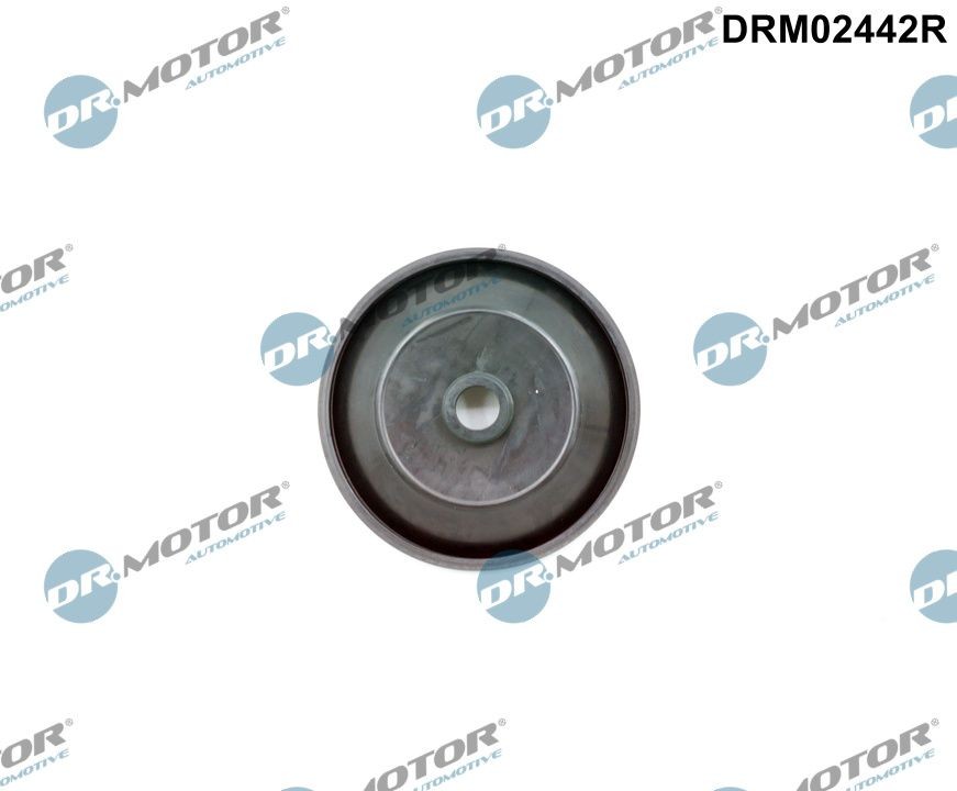 DR.MOTOR AUTOMOTIVE Repair Kit, pressure control valve Article number: DRM02442R cheaply