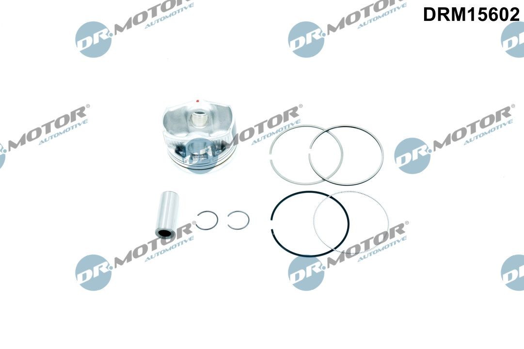 DR.MOTOR AUTOMOTIVE Piston Article number: DRM15602 cheaply