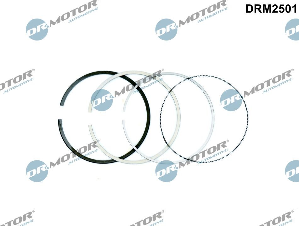 DR.MOTOR AUTOMOTIVE Piston Ring Kit Article number: DRM2501 cheaply