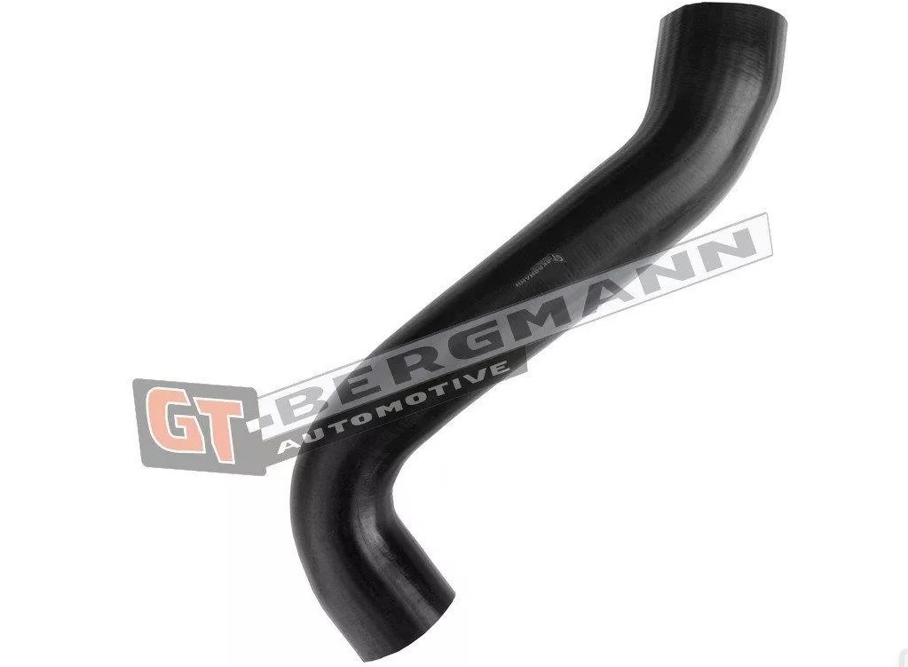 GT-BERGMANN Flessibile aria alimentazione Numero articolo: GT52-656 poco costoso
