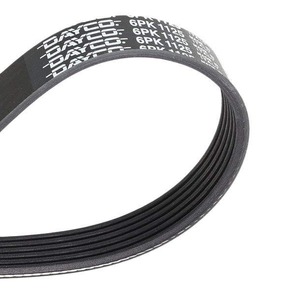 DAYCO Kilerem Varenummer: 6PK1125 billige