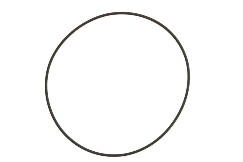 ATHENA Spring Washer, exhaust system Article number: M752010500094 cheaply