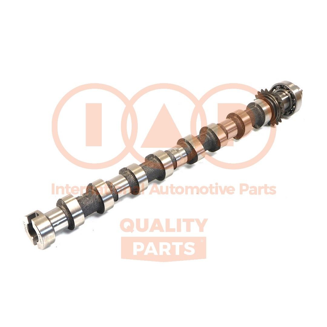 IAP QUALITY PARTS Nukkvõll Artikli number: 124-17230 soodsalt