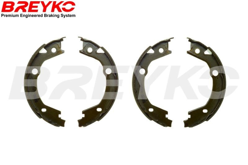 DAVID VASCO Brake Shoe Set Article number: W8747 cheaply
