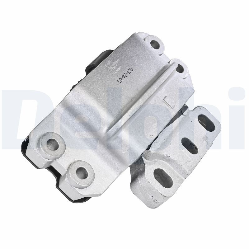 DELPHI Mounting, manual transmission Article number: TEM247 cheaply