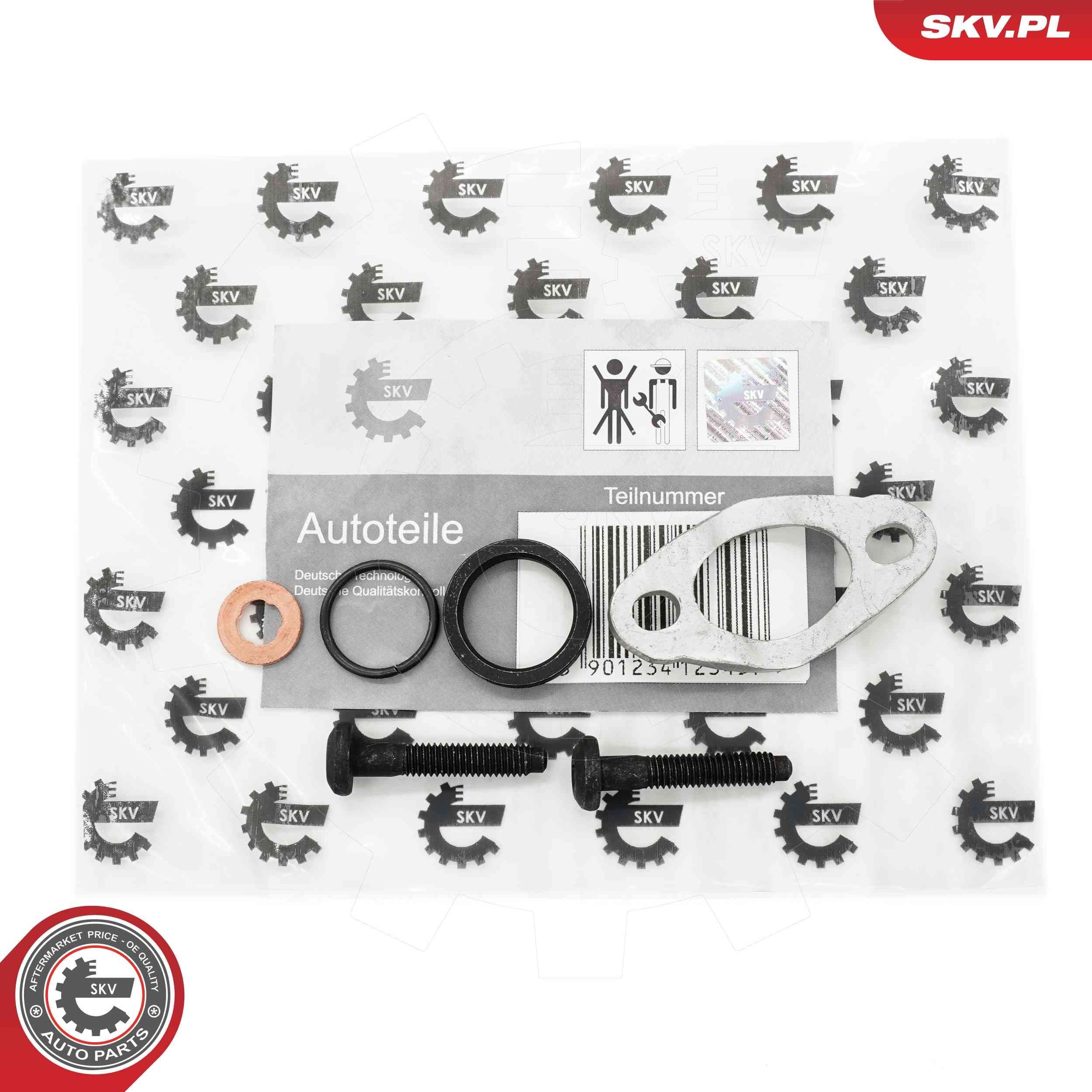 ESEN SKV 53SKV188 Kinnitus, sissepritseklapp V70 2.4 D 131 HP Diisel 2008