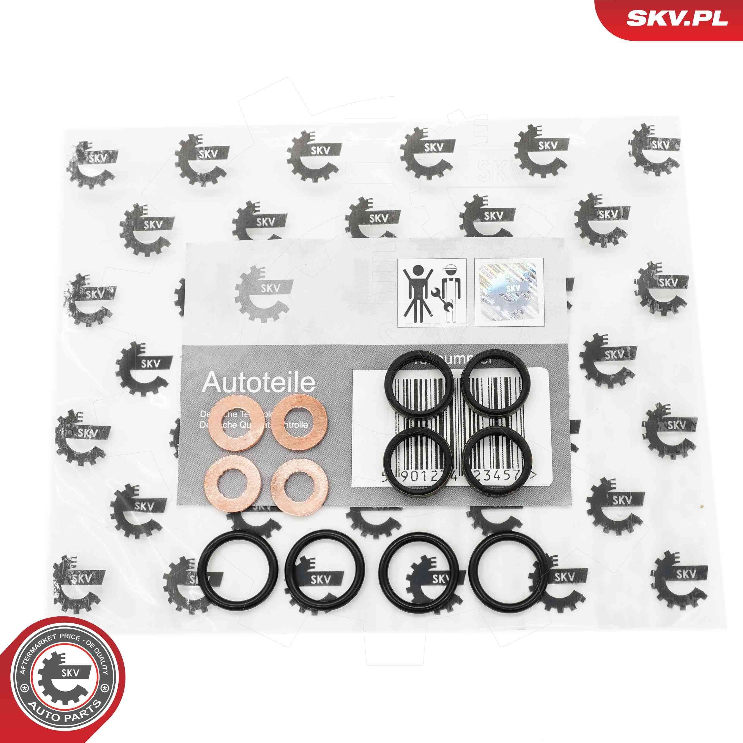 ESEN SKV Seal Kit, injector nozzle Article number: 53SKV195 cheaply