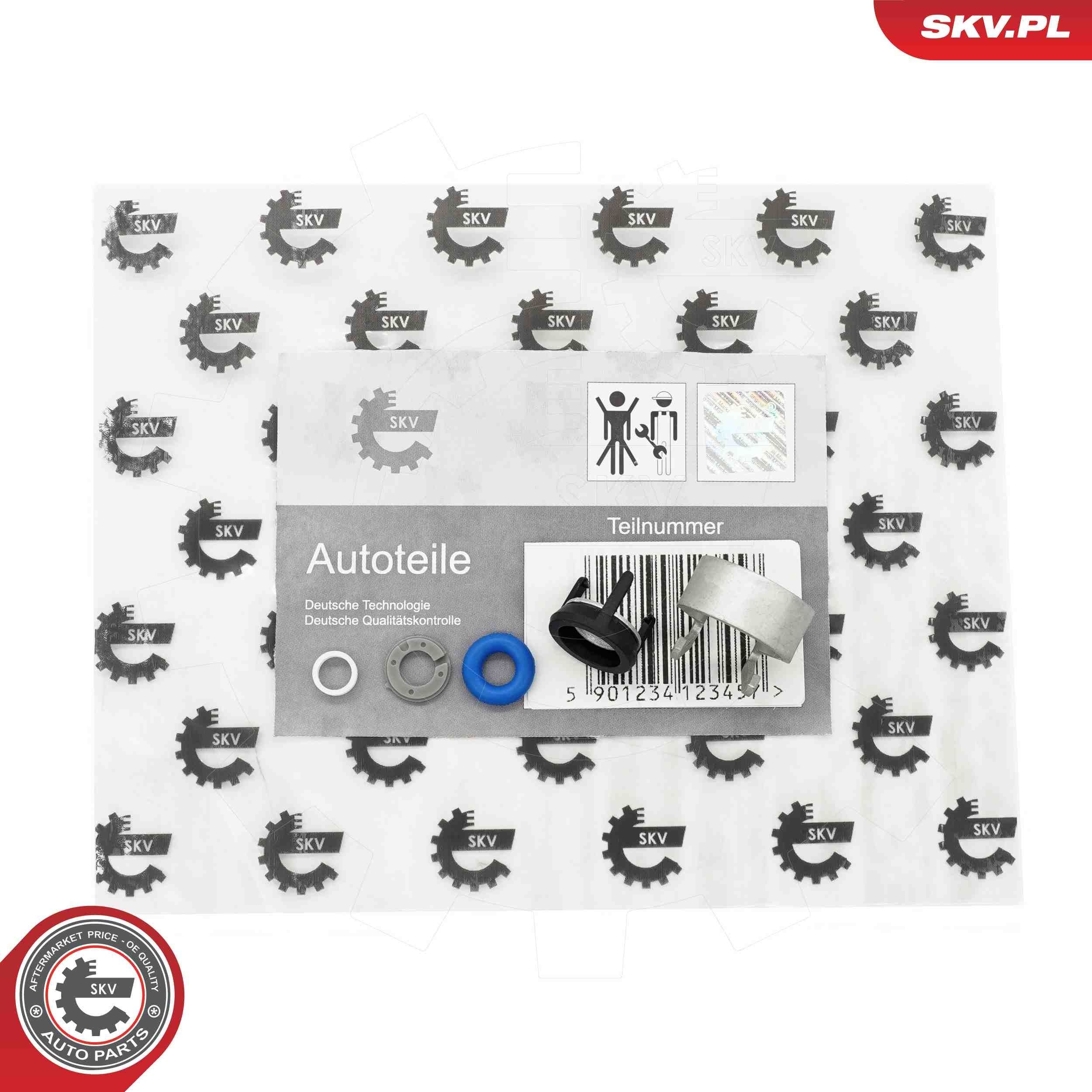 ESEN SKV Seal Ring Set, injector Article number: 53SKV196 cheaply