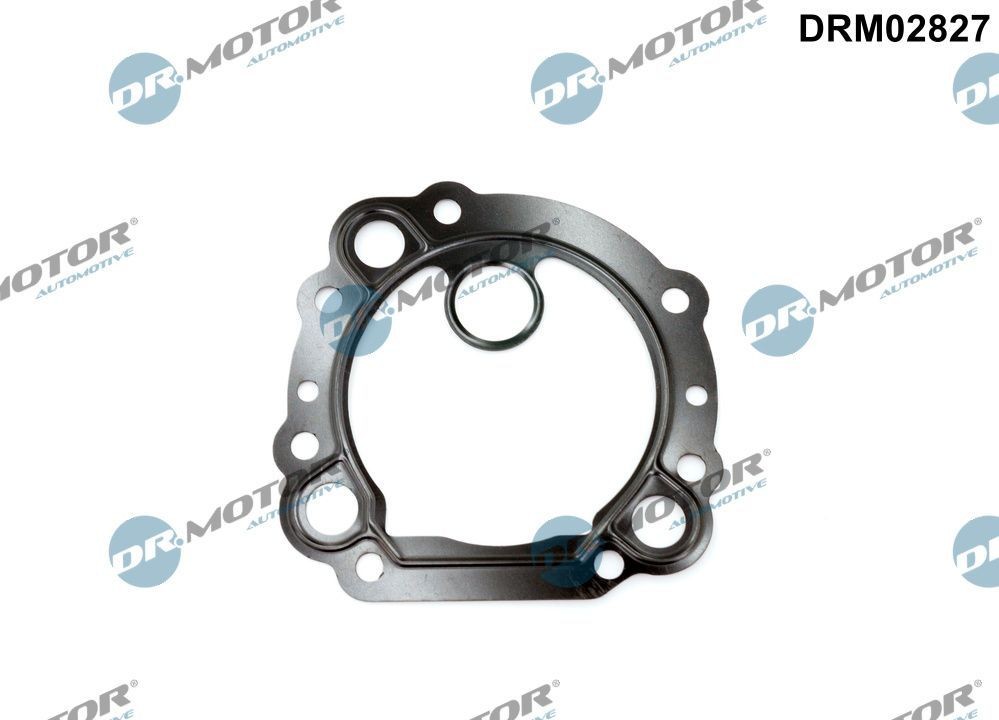DR.MOTOR AUTOMOTIVE Seal, EGR valve Article number: DRM02827 cheaply