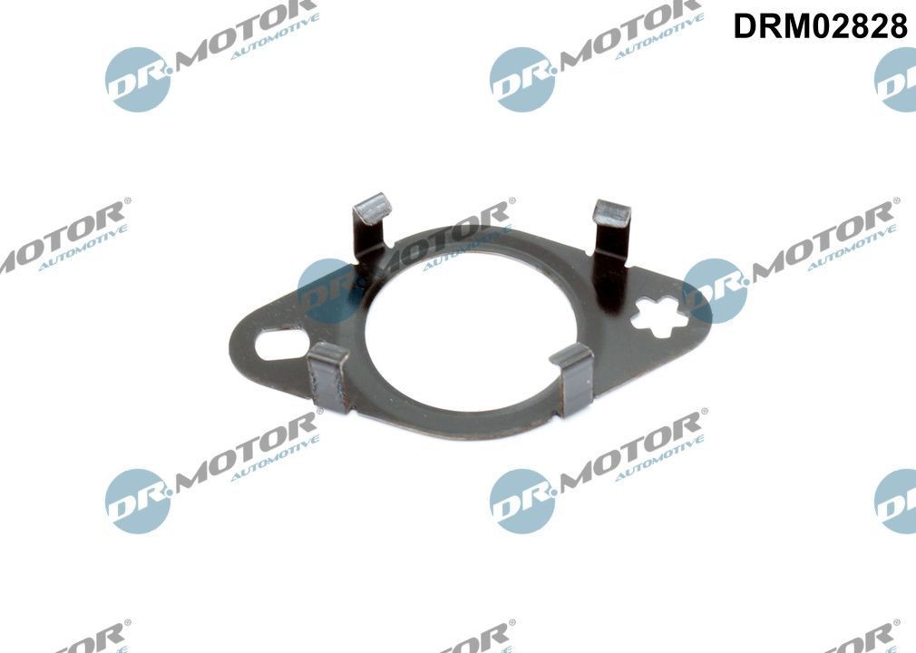 DR.MOTOR AUTOMOTIVE Gasket, EGR valve pipe Article number: DRM02828 cheaply