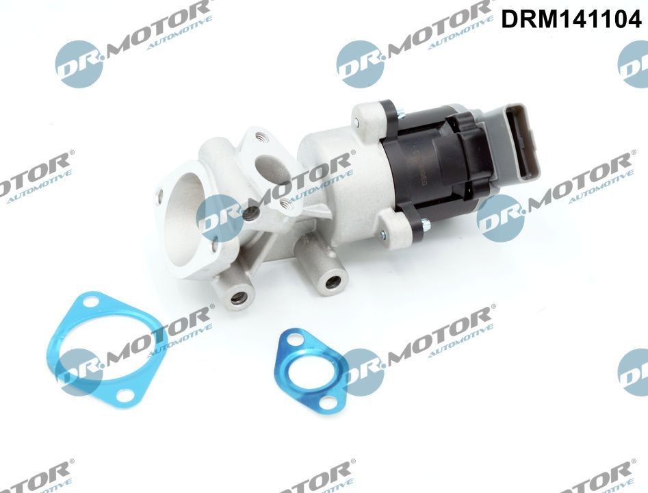 DR.MOTOR AUTOMOTIVE EGR valve Article number: DRM141104 cheaply