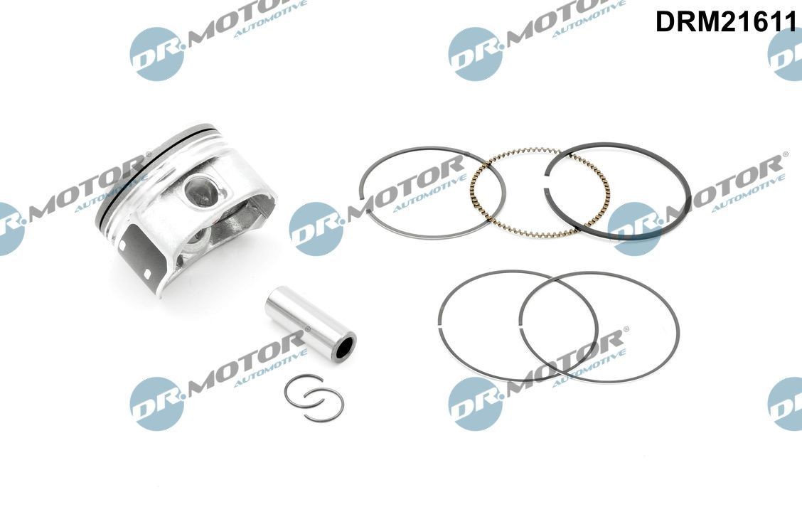 DR.MOTOR AUTOMOTIVE Stempel Varenummer: DRM21611 billige