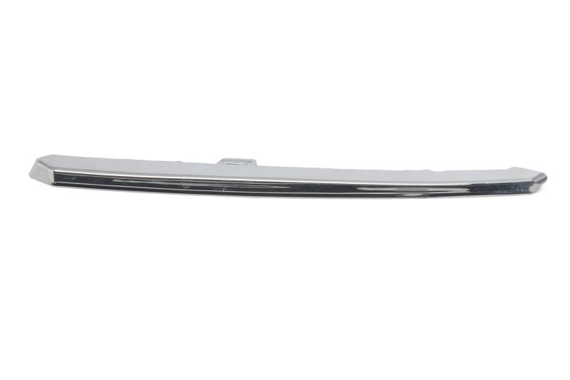 BLIC Bumper moulding Article number: 6502-07-3452913GP cheaply