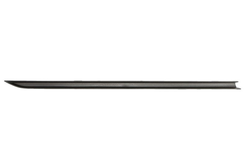 BLIC Bumper moulding Article number: 6502-07-9549924P cheaply