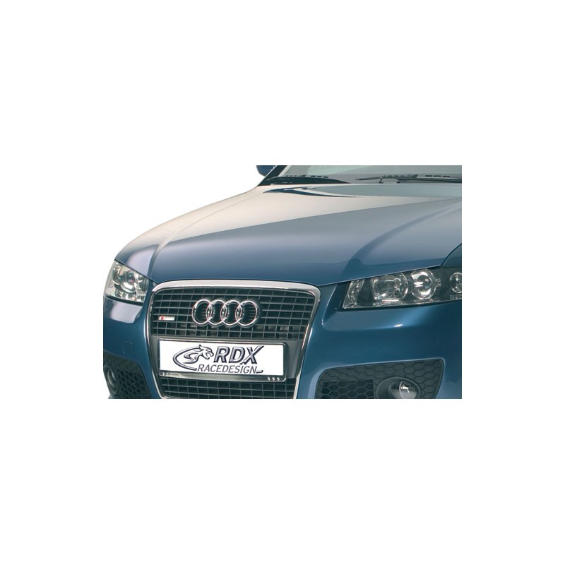 RDX Racedesign Spoiler, radiator grille Article number: RDHV033 cheaply