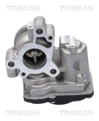 TRISCAN EGR valve Article number: 8813 10056 cheaply