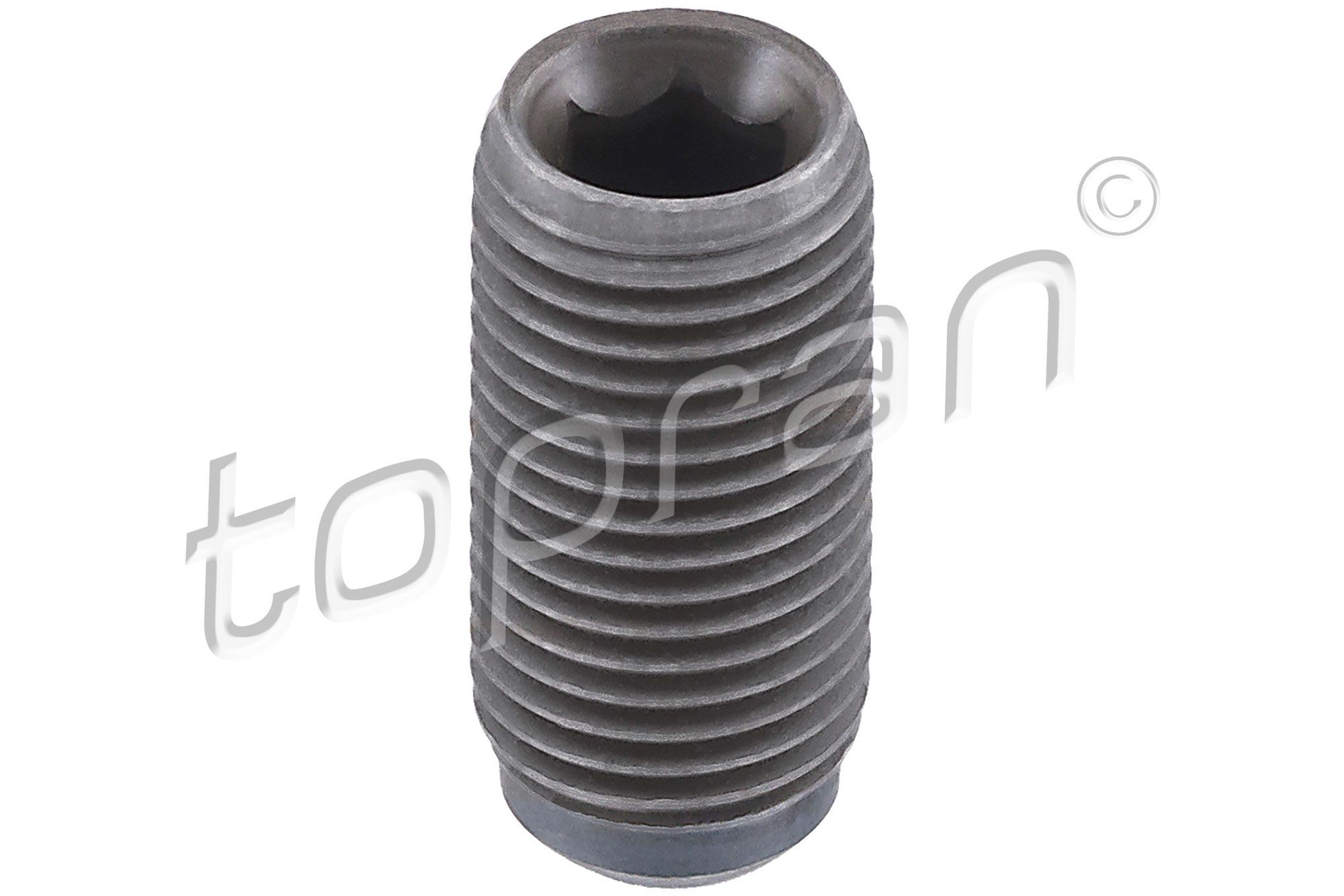 TOPRAN Bolt, rocker arm shaft Article number: 115 129 cheaply