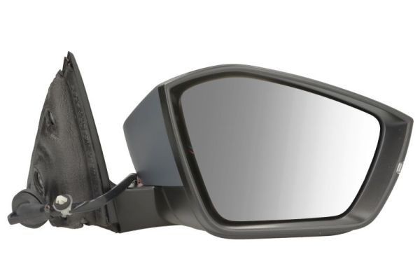 BLIC Wing mirror Article number: 5402-43-2355311P cheaply