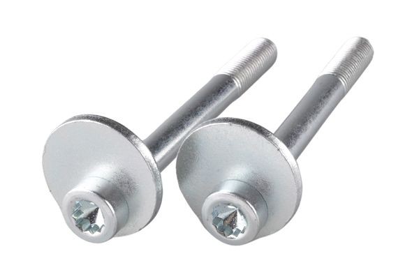 TEDGUM TED97295 Camber bolt PASSAT 1.8 Syncro/4motion 125 PS Petrol 2001