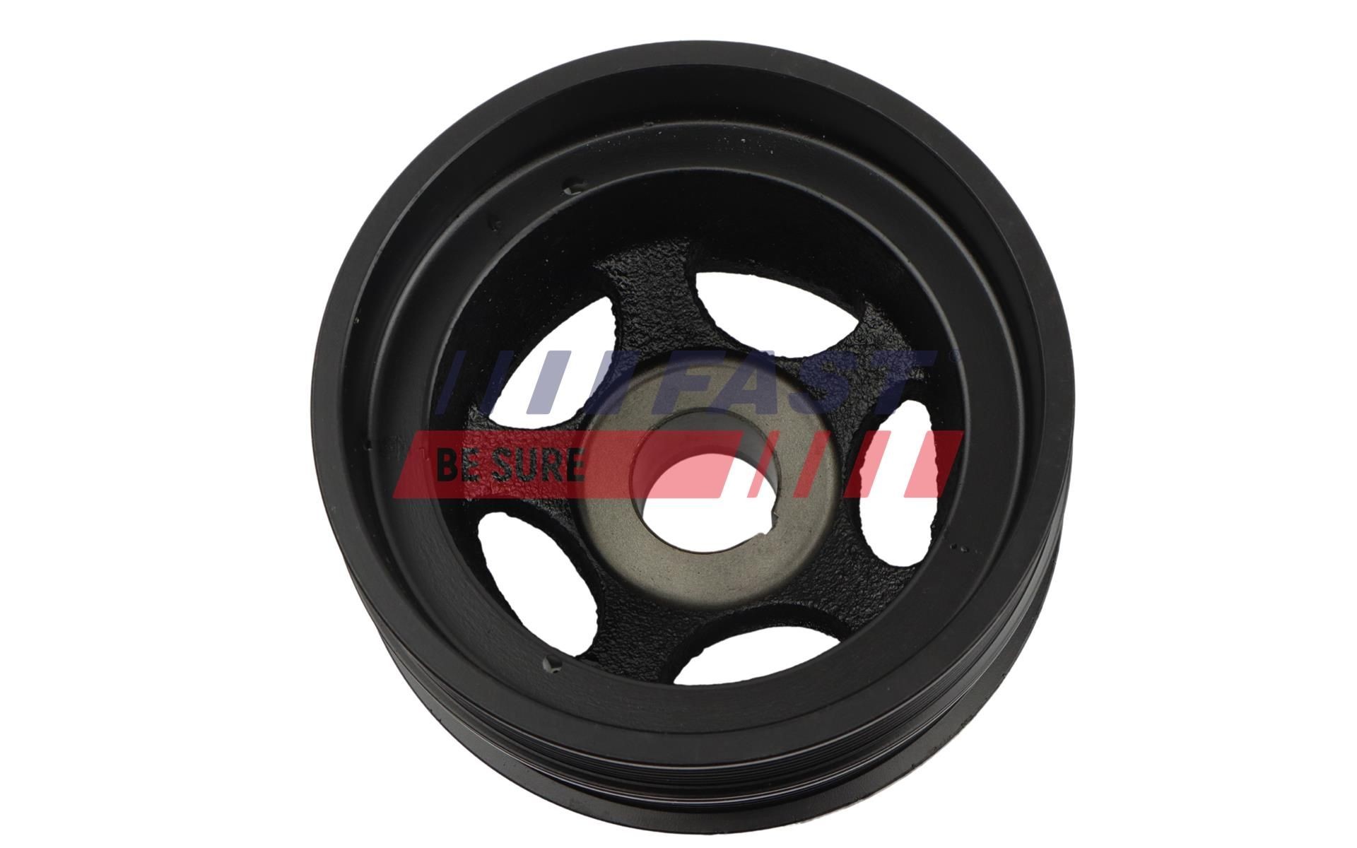 FAST Tensioner pulley Article number: FT10031 cheaply
