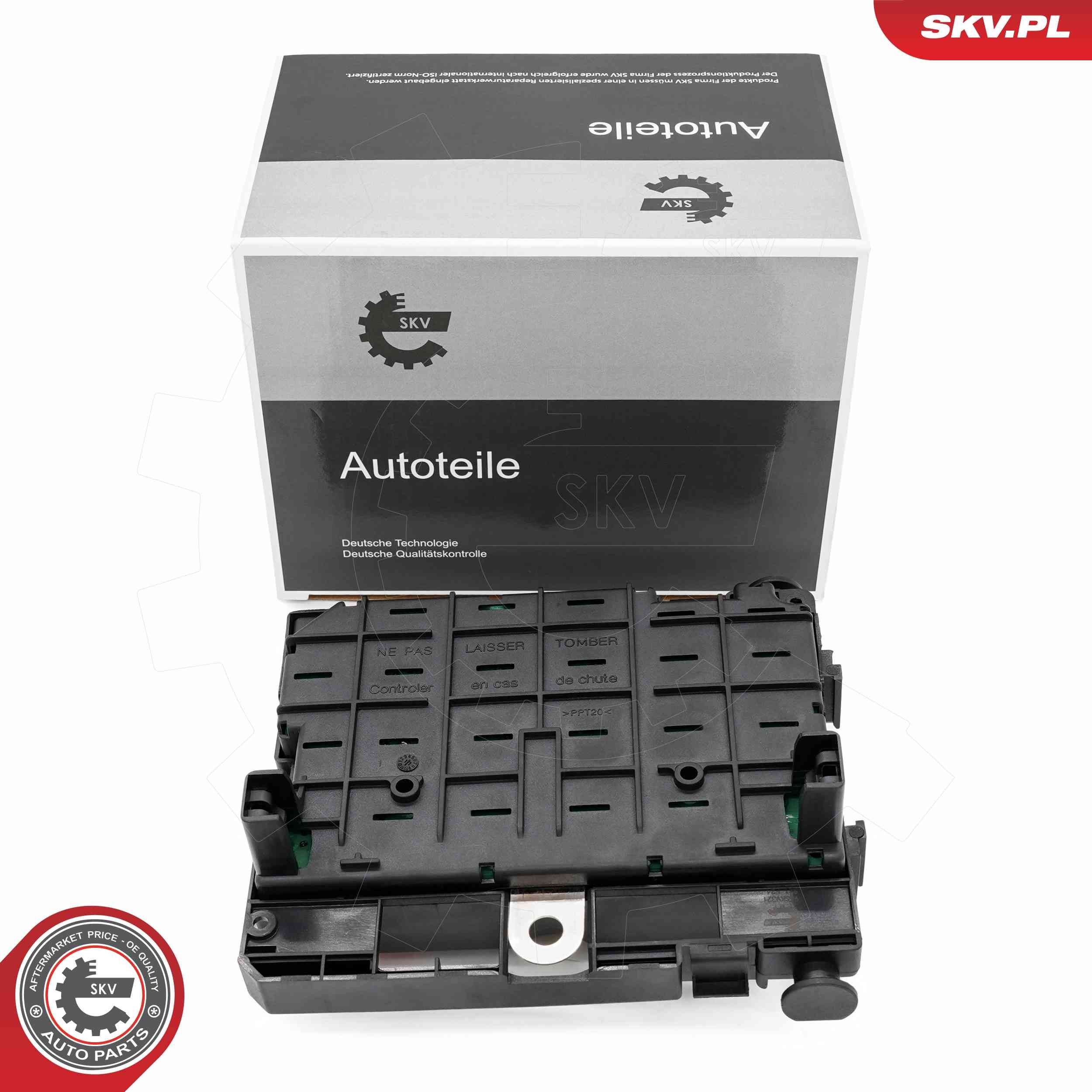 ESEN SKV Control Unit, engine management Article number: 96SKV321 cheaply