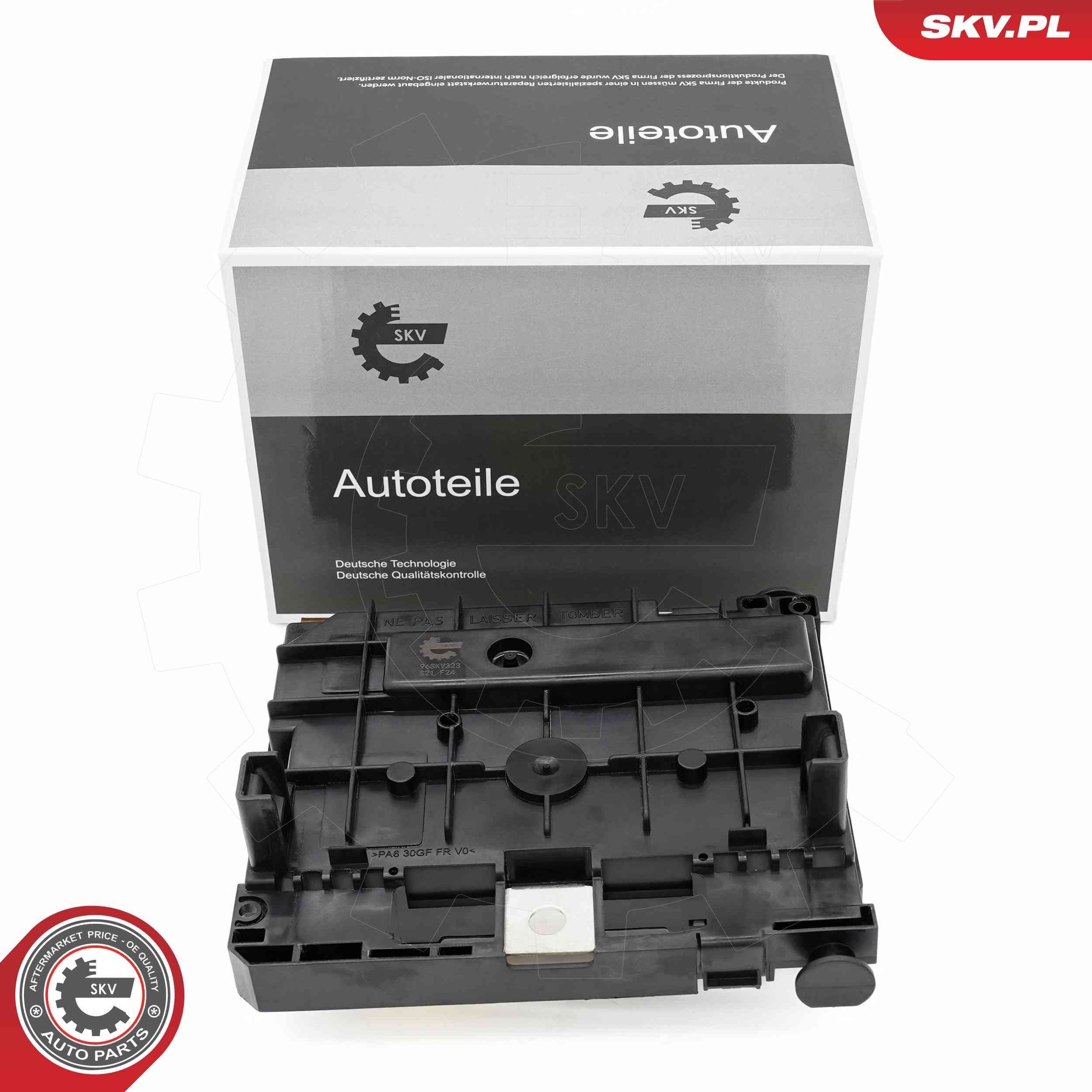 ESEN SKV Control Unit, engine management Article number: 96SKV323 cheaply