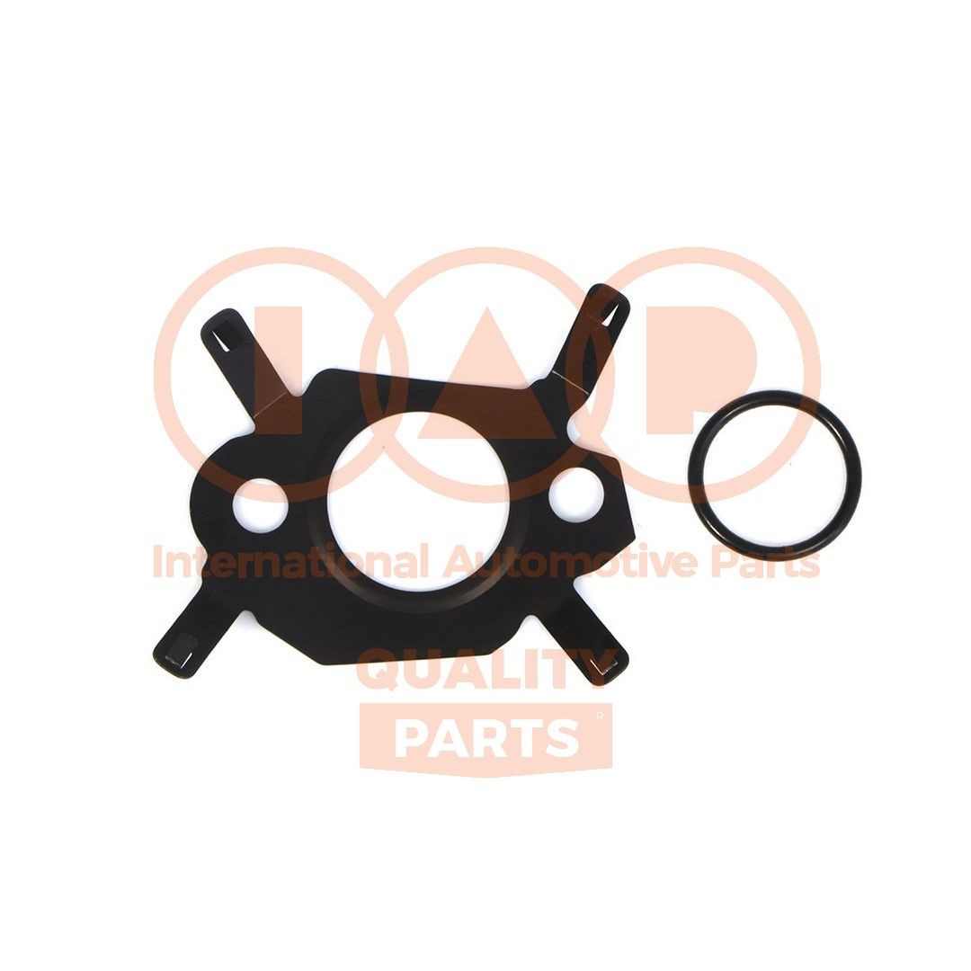 IAP QUALITY PARTS Gasket Set, EGR system Article number: 117-17230 cheaply