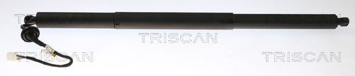 TRISCAN Tailgate strut Article number: 8710 81203 cheaply