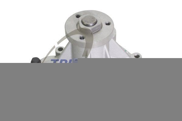 TRUCKTEC AUTOMOTIVE Water pump Article number: 22.19.006 cheaply