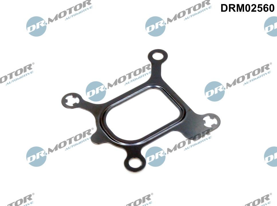 DR.MOTOR AUTOMOTIVE Gasket, coolant flange Article number: DRM02560 cheaply