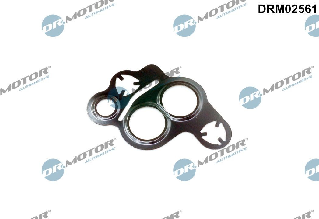 DR.MOTOR AUTOMOTIVE Seal, EGR valve Article number: DRM02561 cheaply