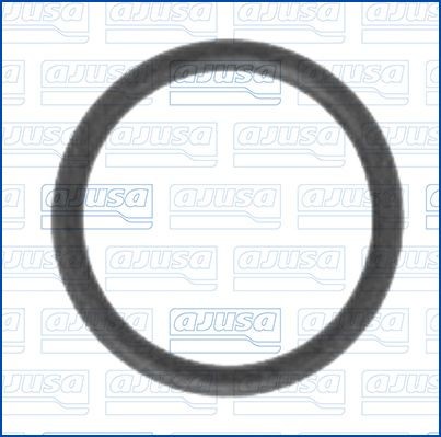 AJUSA Seal, water connector (charger) Article number: 16007800 cheaply
