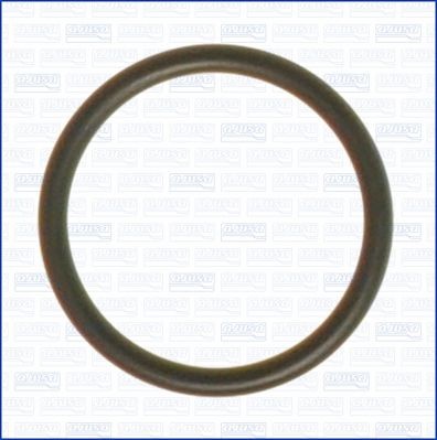 AJUSA Seal, coolant tube Article number: 16022300 cheaply