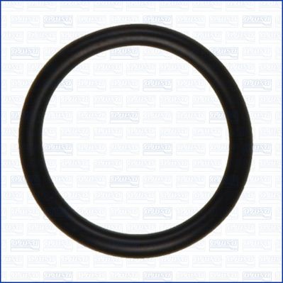 AJUSA Gasket, thermostat Article number: 16084900 cheaply