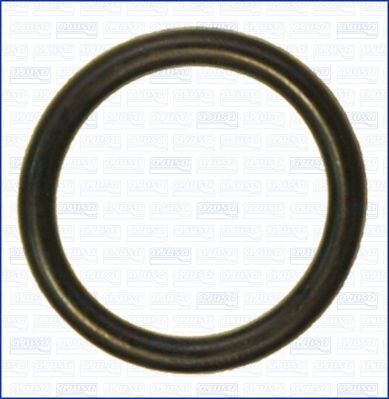 AJUSA Seal, coolant pipe Article number: 16098400 cheaply