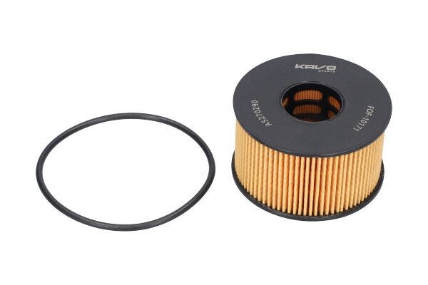 KAVO PARTS Oil filter Article number: FOF-10171 cheaply