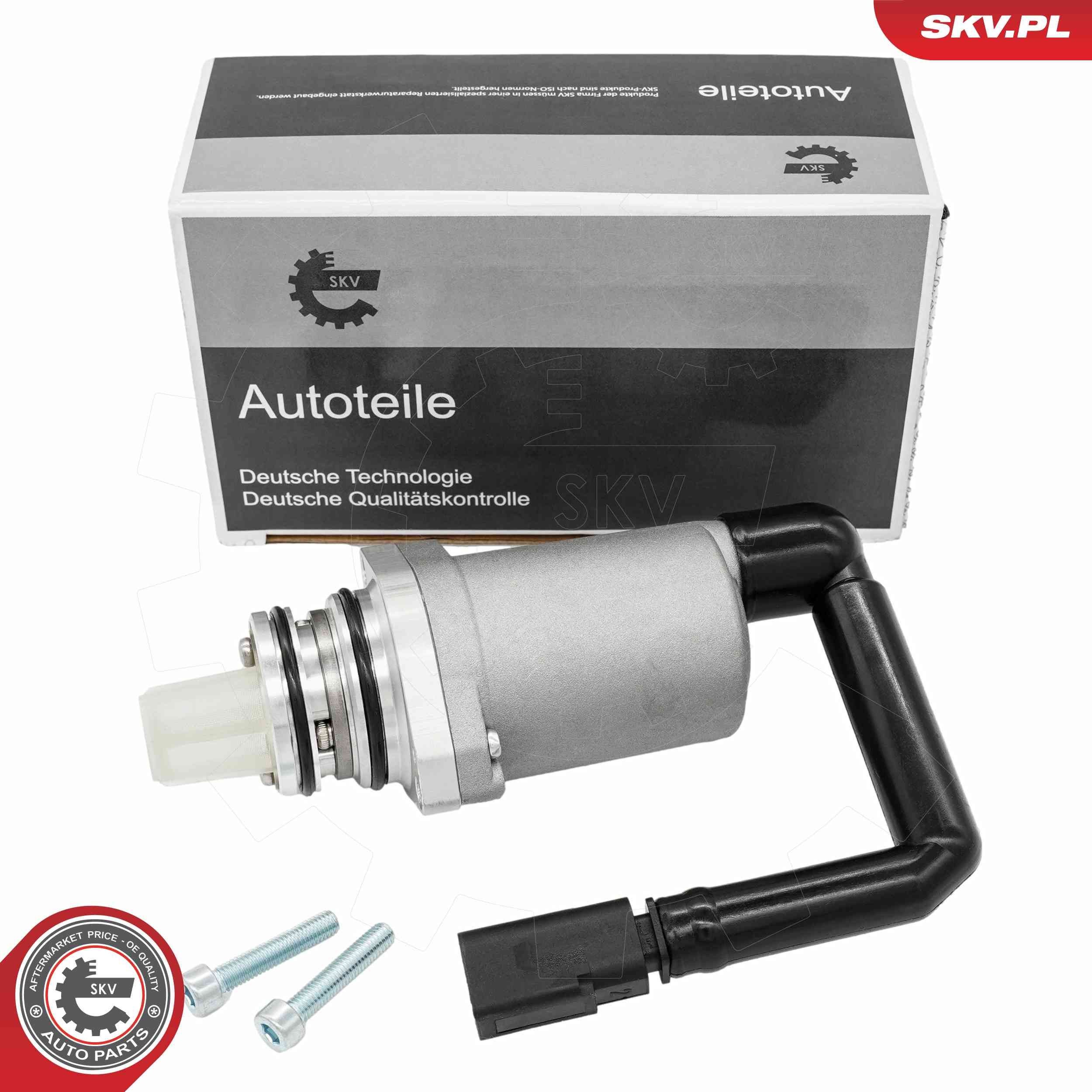 ESEN SKV 97SKV136 Pumpe, lamelkobling, firhjulstræk BORA 2.3 V5 4motion 150 HK Benzin 2005