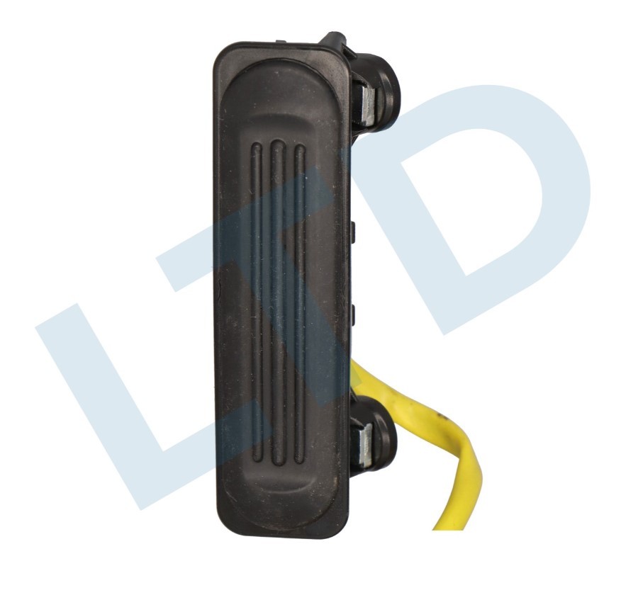 LTD Tailgate Handle Article number: LTD-51829929 cheaply