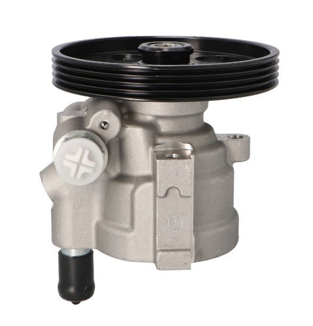 PROCARO Power steering pump Article number: 11-RE-200 cheaply