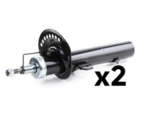 RIDEX Shock absorber Article number: 854S20416 cheaply