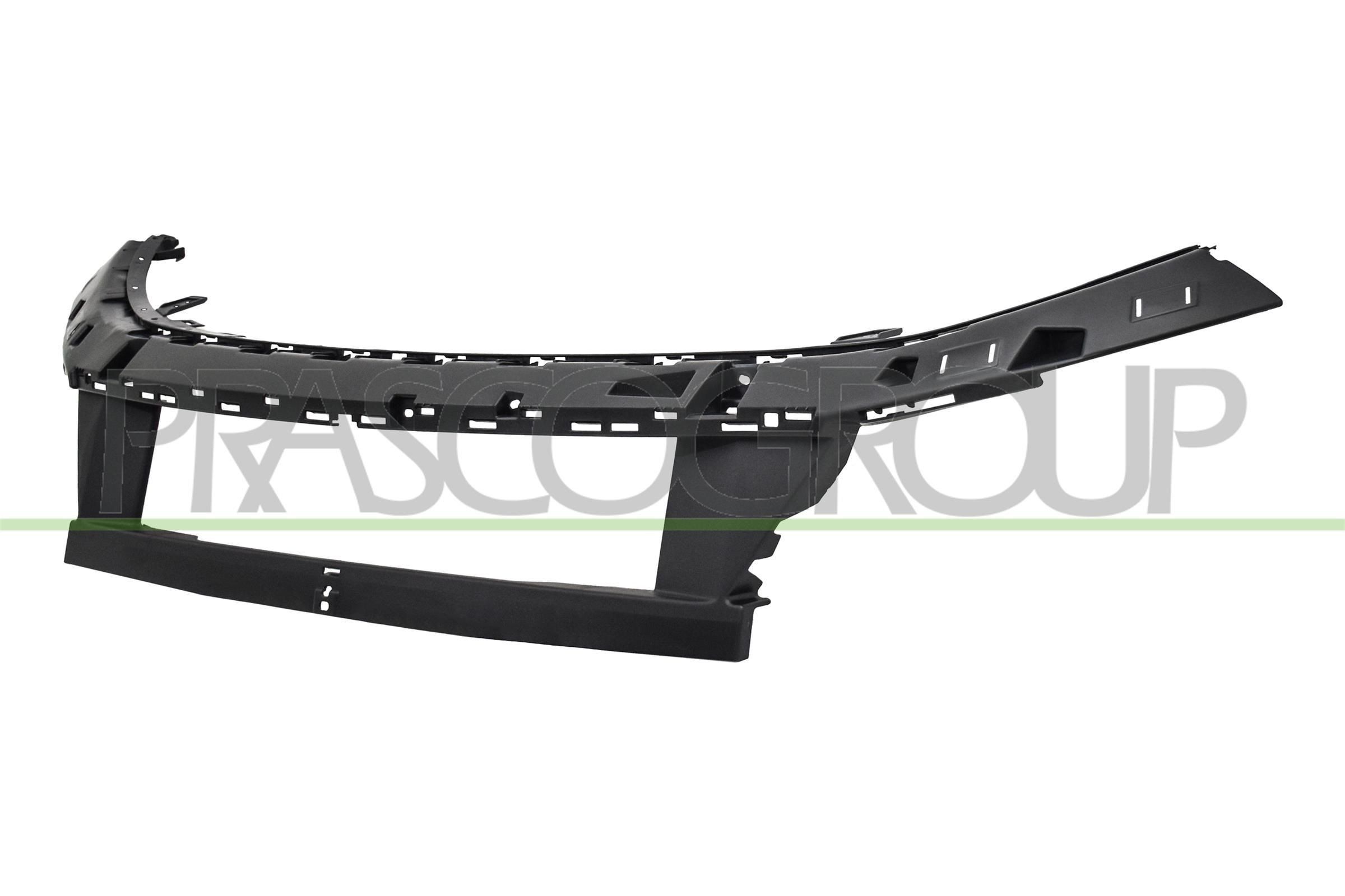 PRASCO Holder, radiator grille Article number: PG4322102 cheaply