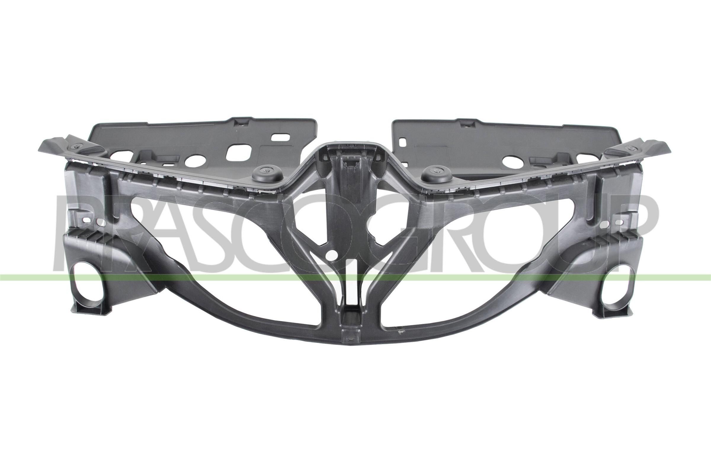 PRASCO Holder, radiator grille Article number: RN7022102 cheaply