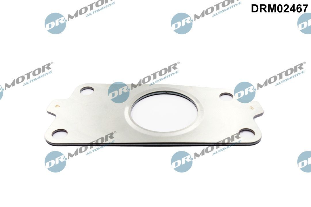 DR.MOTOR AUTOMOTIVE Turbo gasket Article number: DRM02467 cheaply