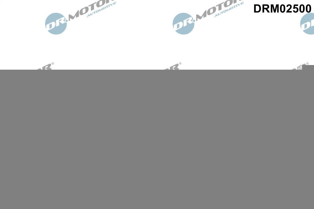 DR.MOTOR AUTOMOTIVE Camshaft seal Article number: DRM02500 cheaply