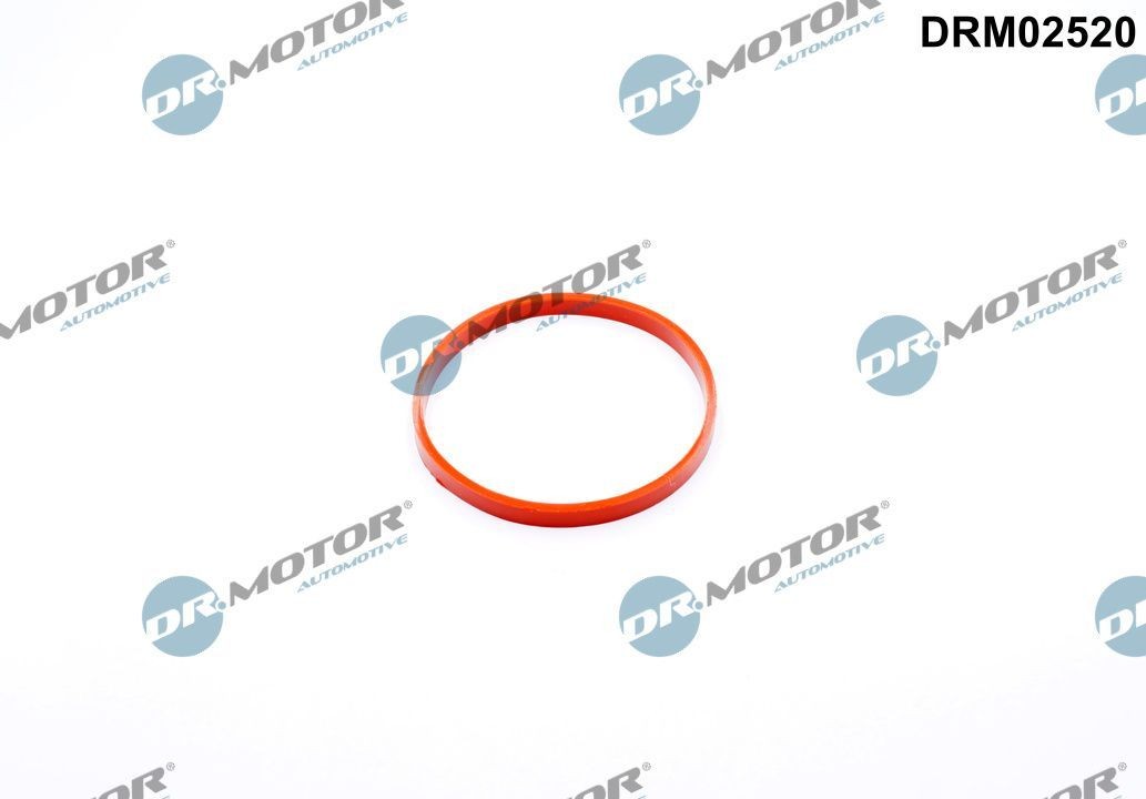 DR.MOTOR AUTOMOTIVE DRM02520 Tihend, drosselventiil Cabrio One 102 HP Bensiin