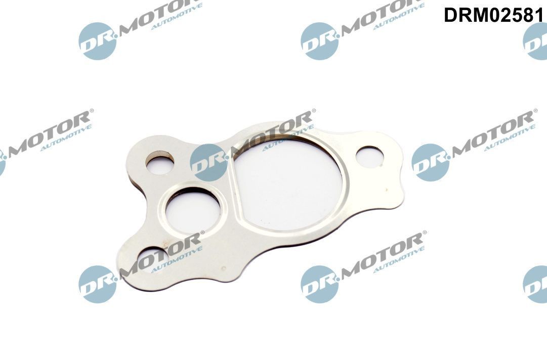 DR.MOTOR AUTOMOTIVE Seal, EGR valve Article number: DRM02581 cheaply