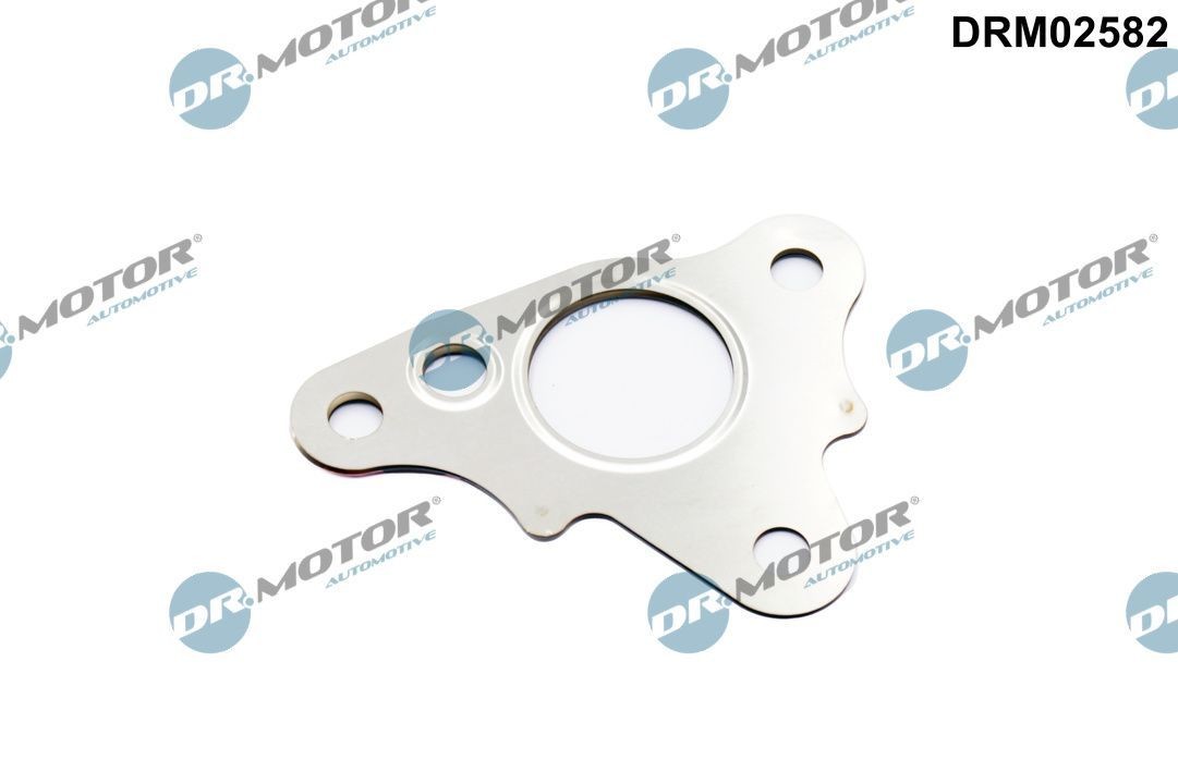 DR.MOTOR AUTOMOTIVE Gasket, EGR valve pipe Article number: DRM02582 cheaply