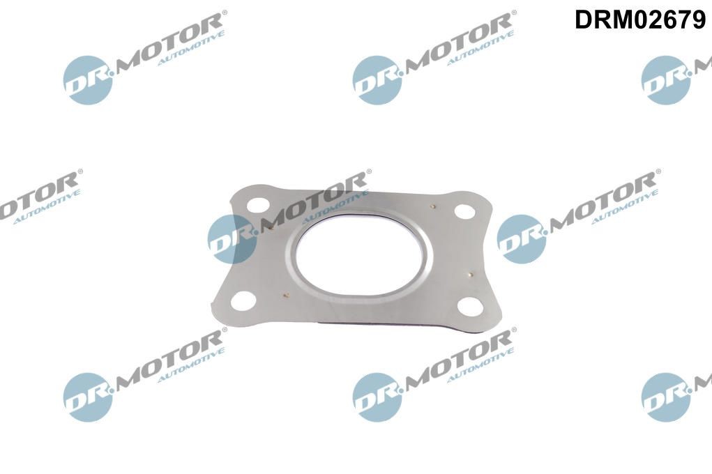 DR.MOTOR AUTOMOTIVE Turbo gasket Article number: DRM02679 cheaply